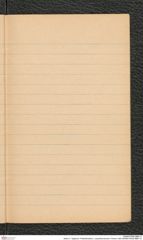 Seite 41, Tagebuch "Paläolithstation | Lang-Mannersdorf | Photos 1920 (NHMW-PRAE-BBB-10)